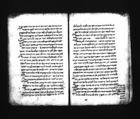 מדרש על התורה (בראשית).