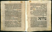 מחזור וורמס.