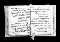 כרוניקות ומאורעות בתימן.