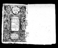 שחיטות ובדיקות.