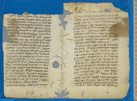 פרוש על הטור (אורח חיים קלד-קלה; קמ).