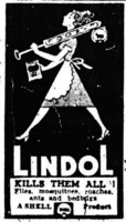Lindol kills them all - flies, mosquitoes, roaches.