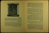 הצרעות והמלחמה בהן