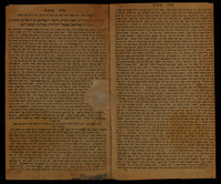 עדות שושנים.