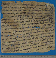 שטר. בלביס. 1239.