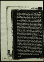 איין שין תורה ליד / (אברהם בר אהרן).