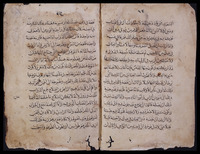 كامل الصناعتين البيطرة والزرطقة المعروف بالناصري.