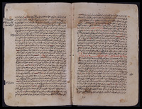 حياة الحيوان الكبرى.