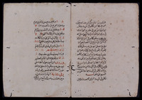 مولد سيد البشر.