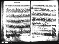 יוצרות לכל השנה.