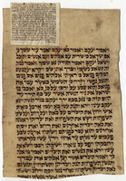 ספר תורה (בראשית, לב:כט-לג:ח).