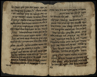 פעמון זהב (לקוטים).