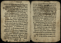 קבץ הלכות שחיטה וטרפות.
