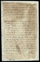 מעשי בית דין מהעיר תלמסן.