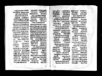 תכלאל.
