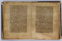 השלחן.