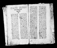 שאהין על התורה (קטע) : פרפרזה בפרסית-יהודית.