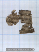 אוסף דפים שונים.