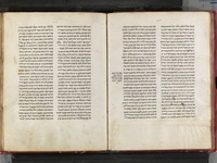 פרוש התורה לרש"י.