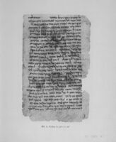 Facsimiles of the fragments hitherto recovered of the Book of Ecclesiasticus in Hebrew.