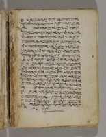 תורה שומרונית (ויקרא).