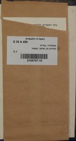 תולדות נח, אדער, געשיכטע דער זינדפלוט אין צוועלף געזענגען : צור ערבויאונג אונד אונטערהאלטונג אן הייליגען רוה- אונד פעסטטאגען / הערויסגעגעבן פאן בענדיט שאטלענדר.