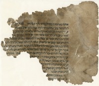 ארחות חיים.