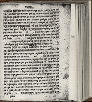 מנהגים : ויל הויפשר דען דיא ערשטן ... אלי מנהגים אין אשכנז דורך דז גנץ יאר ... אונ' ויל דינים ...
