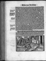 Von dem Anfang und Wesen der hailigen Statt Jerusalem : und zu welchen Zeyten die selb dem ausserwoelten Volck Gottes ingegeben, wider entzogen, und nachmals aber zugestelt worden ist ... / durch Sebastianum Brant ... eemals in lateinischer histori vergriffen.