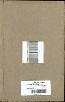 י. ל. פרץ פאר יינגערע.