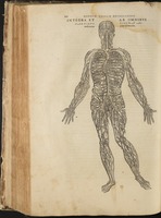 Andreae Vesalii Bruxellensis, scholae medicorum Patavinae professoris, de Humani corporis fabrica Libri septem.