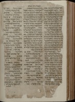 חמשה חומשי תורה : עם תרגום ופי' רש"י וחזקוני וחמש מגלות עם פי' רש"י ופירוש בעל העקדה / רבי יצחק ערמאה. והפטרות כמנהג כל הקהלות הן ספרדים, אשכנזים, לועזים.