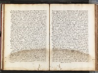 צדת הדרכים.