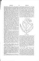 A cyclopaedia of Biblical literature / originally edited by John Kitto ; entirely new edition, edited by William Lindsay Alexander.