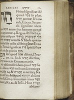 Dictionarium Hebraicum / ultimo ab autore Sebastiano Munstero recognitum et ex rabinis, praesertim ex radicibus David Kimhi, auctum et locupletatum.