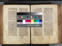 תורה, הפטרות ומגלות.