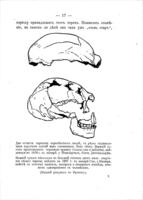 Происхожденіе человѣка / перев. съ 25-го нѣмецк. изд. В.П. Осиповой ; подъ ред. Л.Д. Синицкаго ; Вильгельмъ Бэлше.