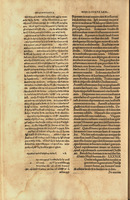 Octavus tomus commentarios in Psalterium habet : accessit his Psalterium triplici lingua, Hebraica, Græca, et Latina / Hieronymi.