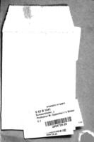Professor M. Oppenheim's Bilder aus dem Altjüdischen Familien-Leben / poetisch dargestellt von J. Schwanthaler.