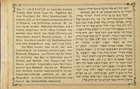 פרחי ארץ הקדושה : פרחים טבעיים מאוספים מהמקומות היותר קדושים בארץ ישראל : בלוית תכונת, קורות ומצב המקומות עפ"י החקירות ... / חובר מאת הרא"מ לונץ.