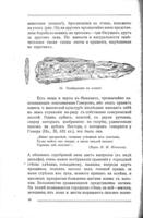 Древнѣйшая цивилизація въ Европѣ : Эгейская или критско-микенская культура.