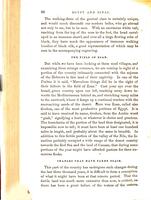 The handwriting of God in Egypt, Sinai, and the Holy Land : the records of a journey from the great valley of the West to the sacred places of the East / by D.A. Randall ; with maps, diagrams, and numerous illustrations.