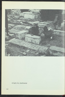בתי הכנסת באפריקה הצפונית : תוניסיה, אלג'יריה, מארוקו.