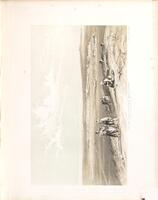 Notes on Acre and some of the coast defences of Syria / by Lieut.-Col. Alderson.