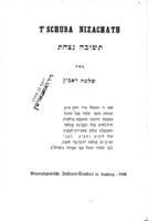 תשובה נצחת / מאת שלמה רובין.