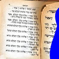 הקריאה : מורה חנוך הילדים מהכרת והברת האותיות עד הקריאה הנכונה בזמן קצר ...