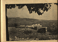 בית היתומים הגדול דיסקין.