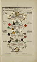 Geheime Figuren der Rosenkreuzer aus dem 16ten und 17ten Jahrhundert... : aus einem alten Mscpt. zum erstenmal ans Licht gestellt / Altona, 1785-88. Gedruckt und verlegt von J.D.A. Eckhardt.