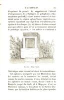 Histoire de l'Orient : l'Égypte, chaldéens et assyriens, les israélites et les phéniciens, les mèdes et les perses / par G. Maspero,...