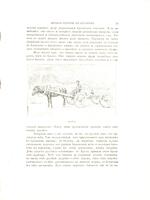 Очерки Крыма : картины крымской жизни, исторіи и природы / Евгенія Маркова.